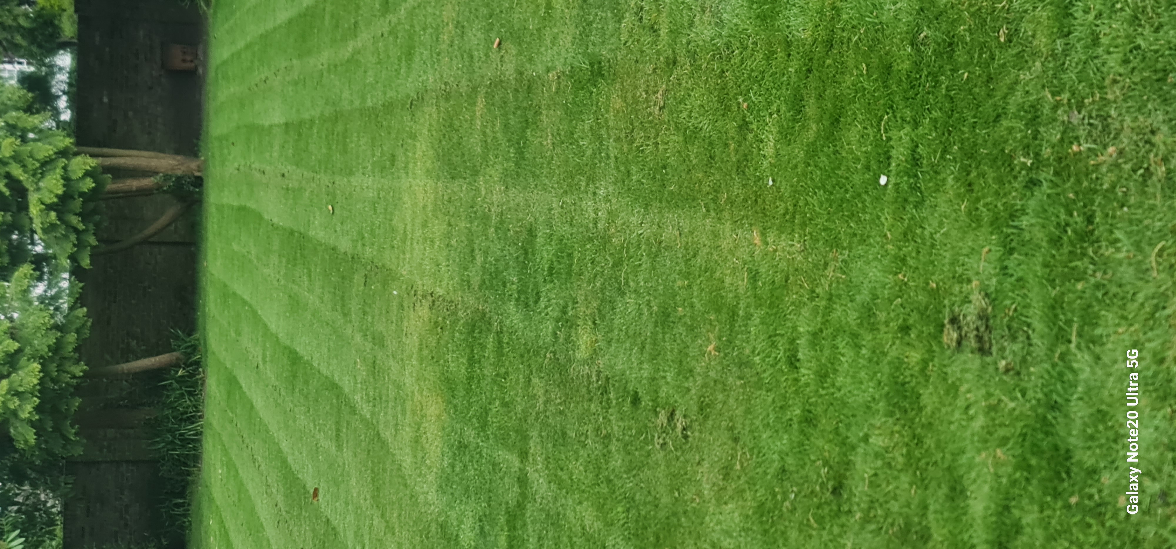 Electric Gate Wiring